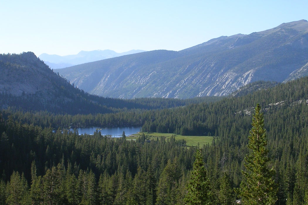 Grassy Lake in the John Muir Wilderness