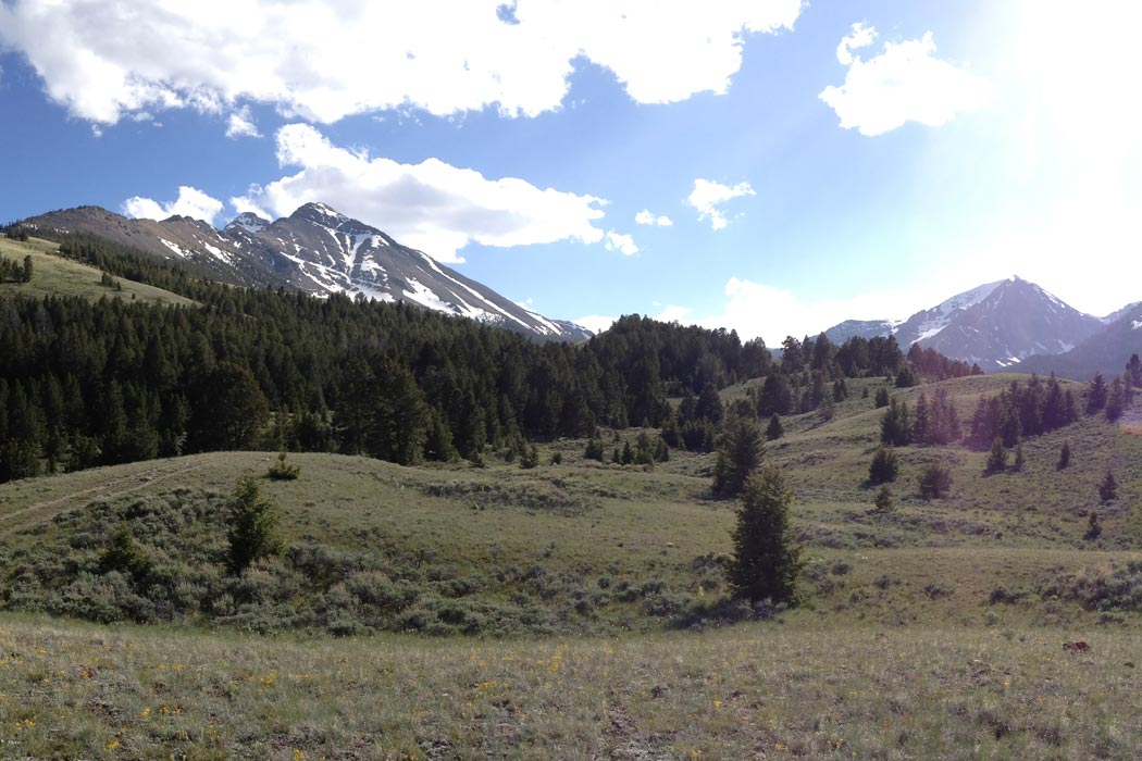 Mahogany Valley near Borah Peak Idaho