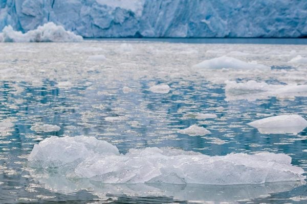 Ice floes float in icy water