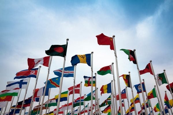 Flags of the United Nations flying