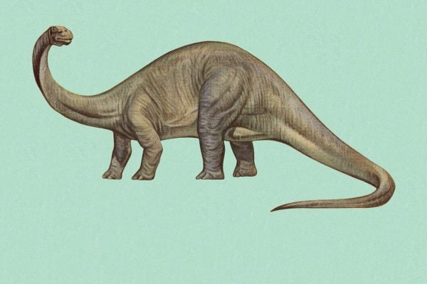 Brontosaurus