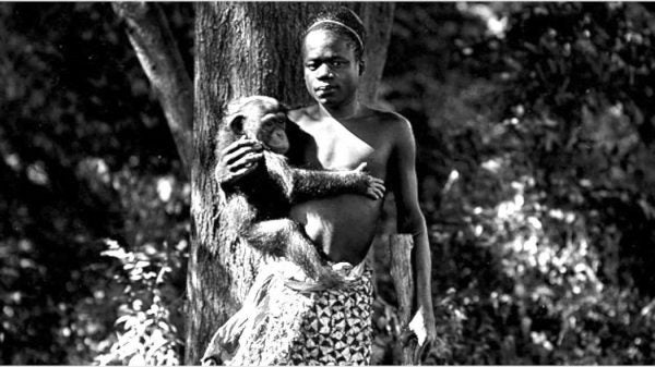 1906 photograph of Ota Benga holding a chimpanzee at the Bronx Zoo