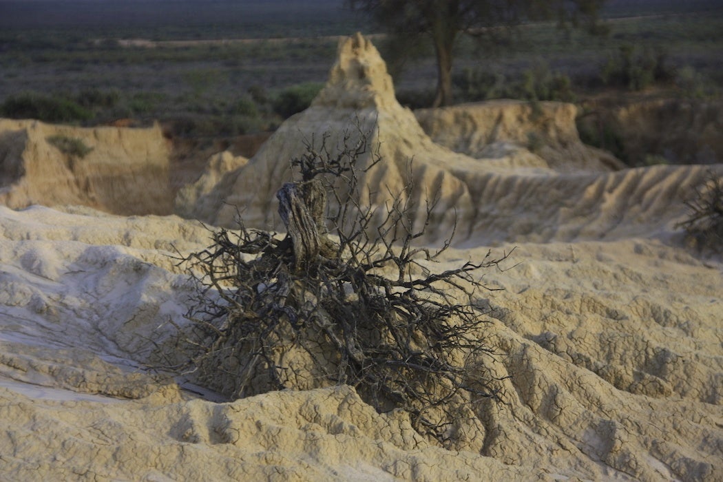 Lake Mungo