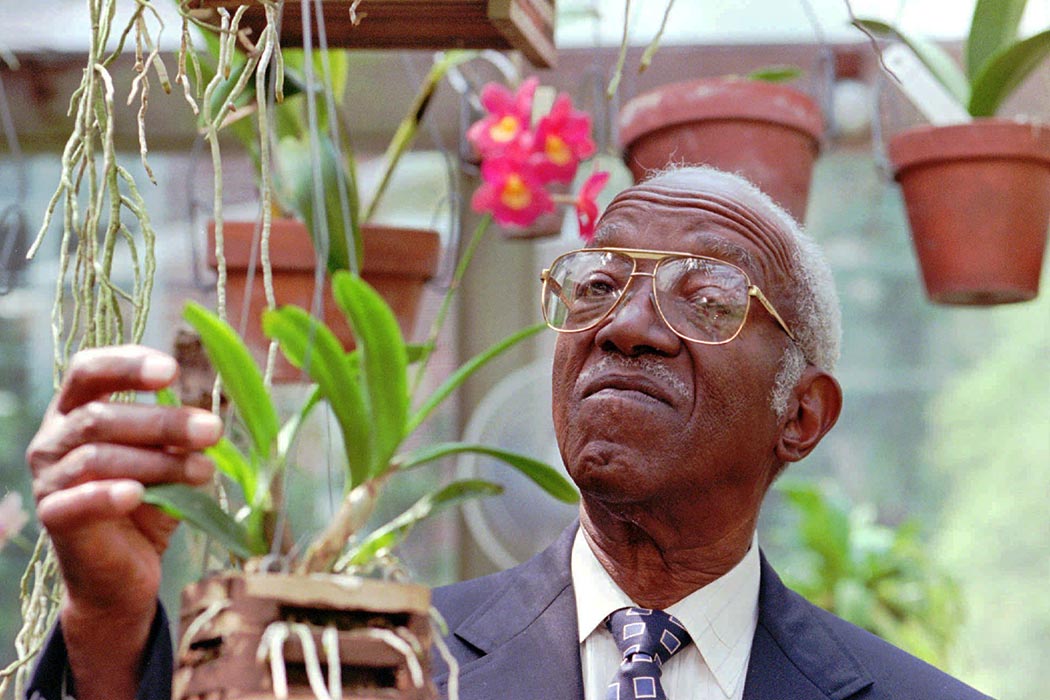 John Hope Franklin, who heads President Clinton's Commission on Race Relations, works with orchids in his backyard greenhouse, in Durham, N.C., on Aug. 25, 1997. (AP Photo/Grant Halverson)