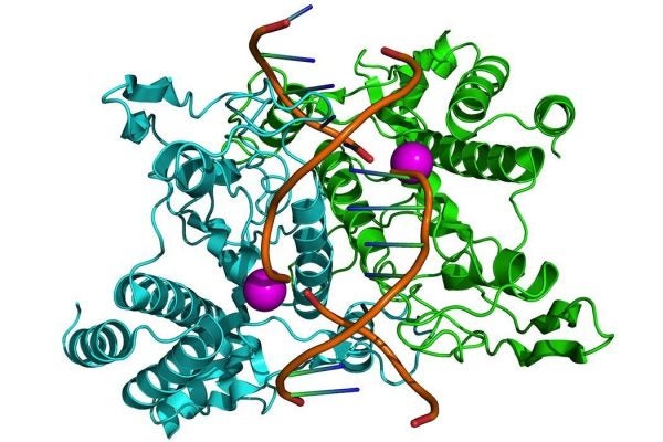 Based on the PDB crystallographic coordinates 1QPS