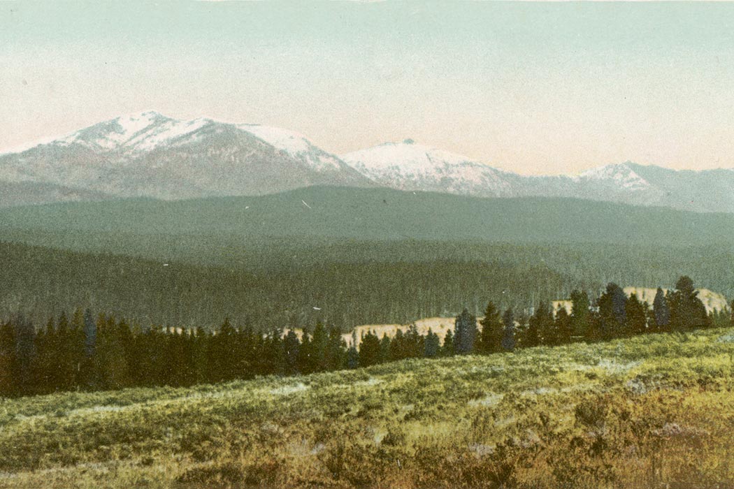 Mt. Washburn from across Canyon, Yellowstone National Park, Wyo.