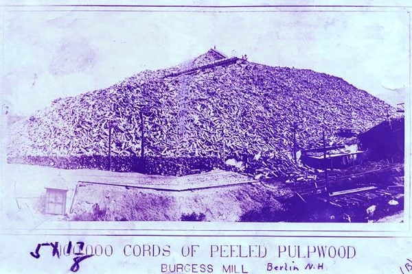 Woodpulp pile