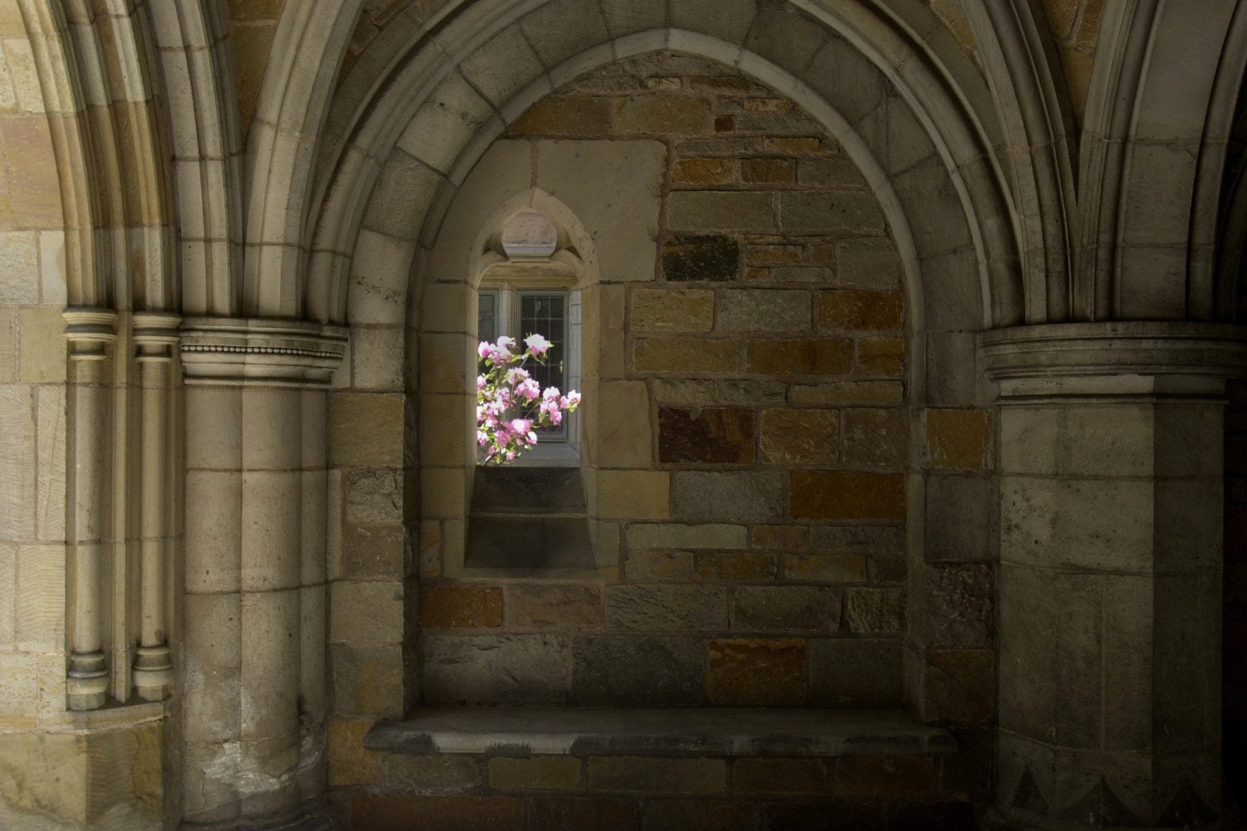 An ornate arch and archway on the Yale campus