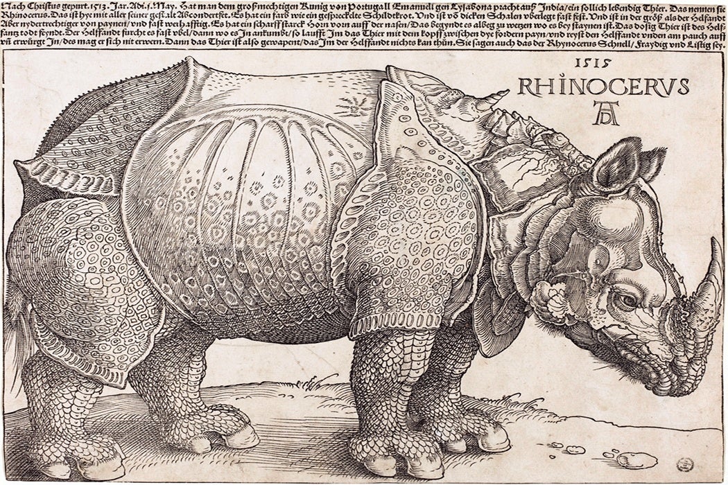 Dürer's Rhinoceros