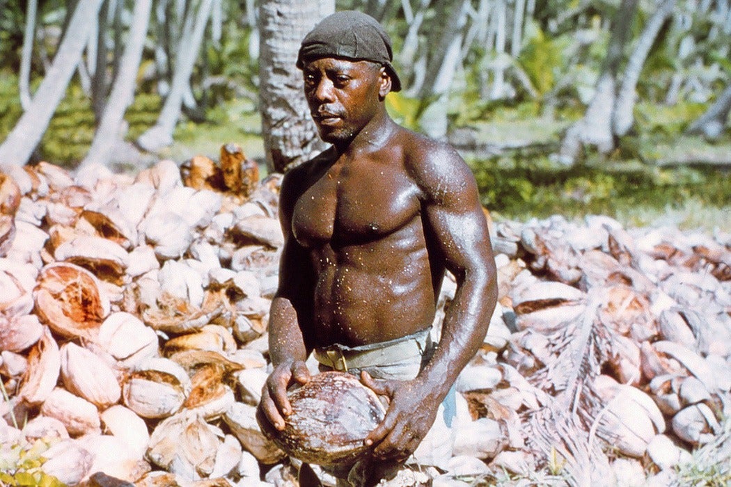 Chagos Islander