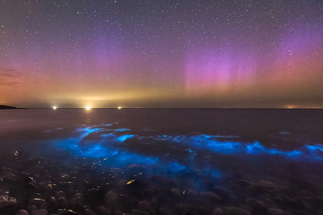 Bioluminescent ocean