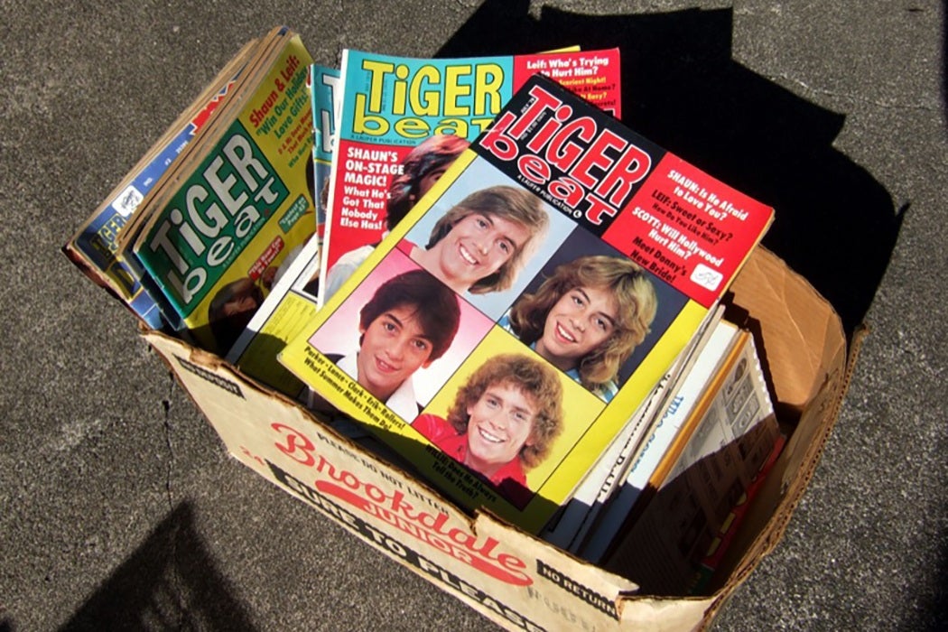 Tiger Beat Magazine