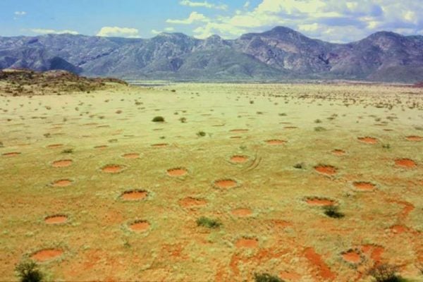 Fairy Circles