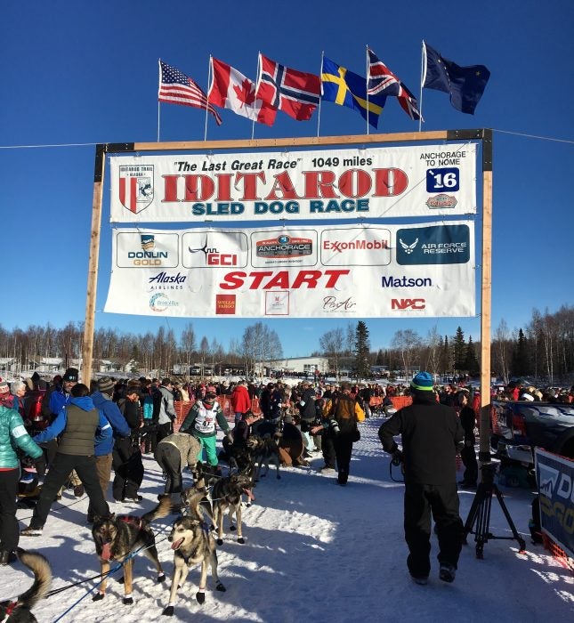 Iditarod starting line