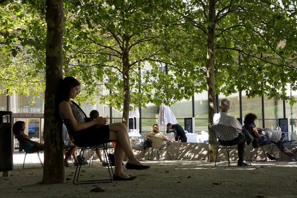 Lincoln Center trees