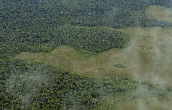 Amazon Deforestation