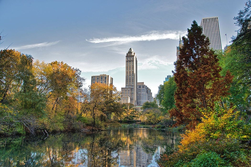 Central Park Olmsted