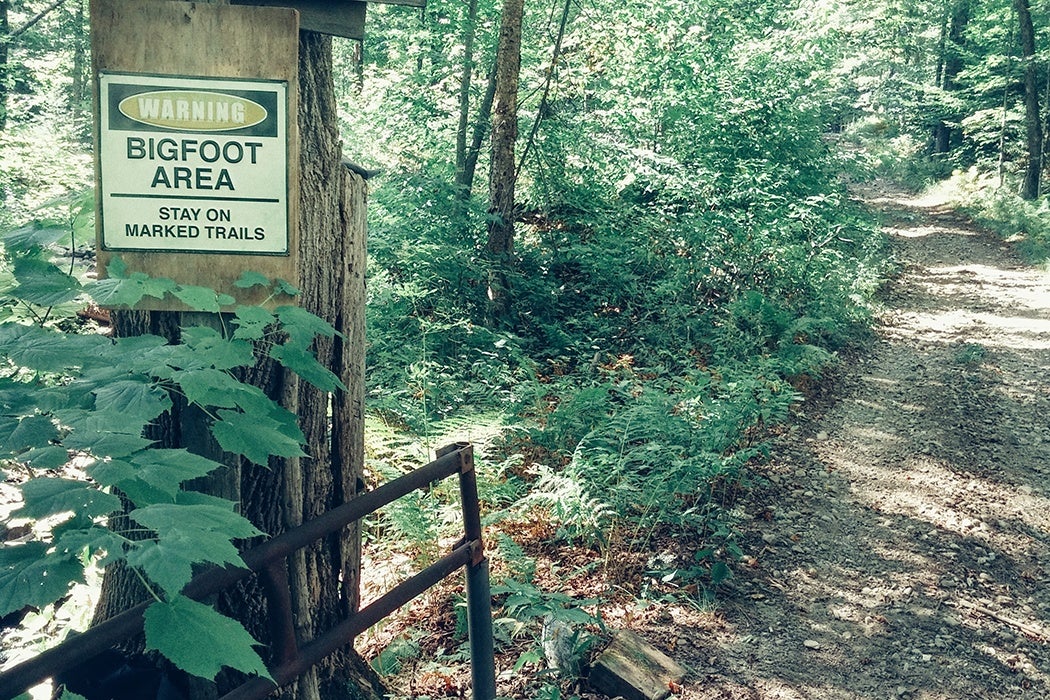 Bigfoot signage