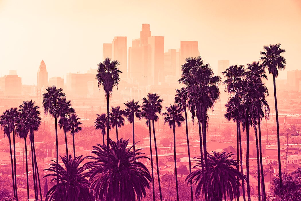 Los Angeles skyline with palm trees in the foreground