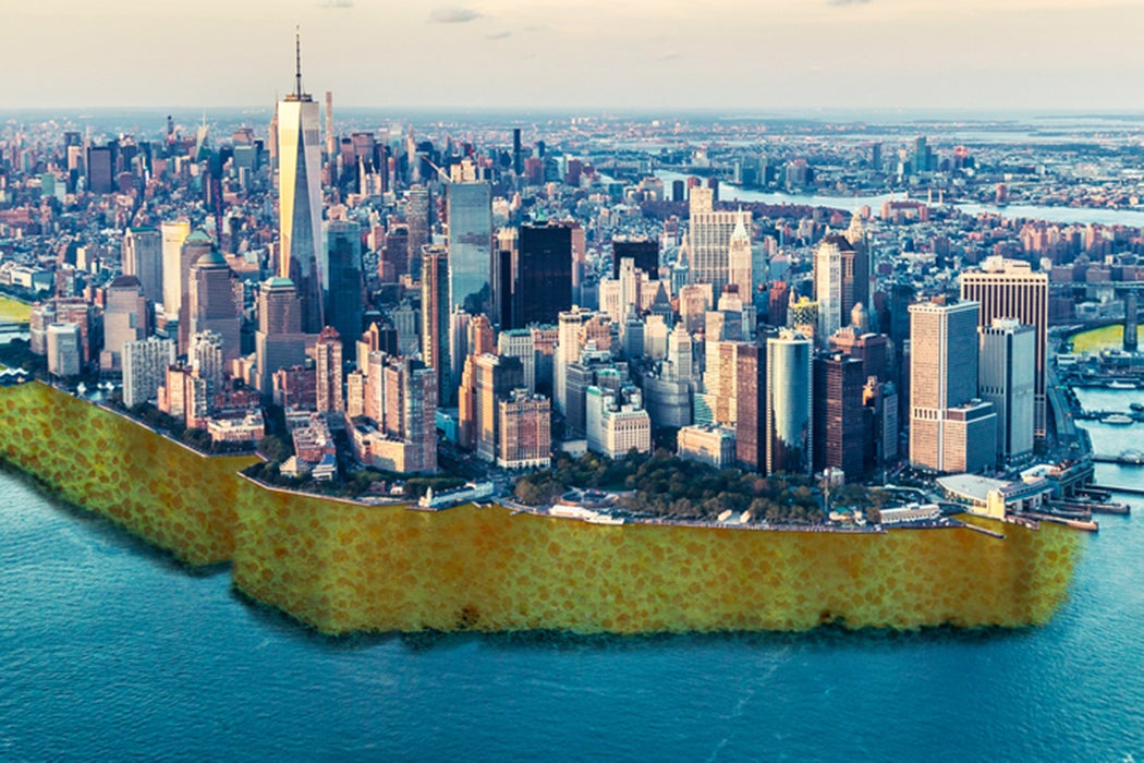 A Spongey Lower Manhattan