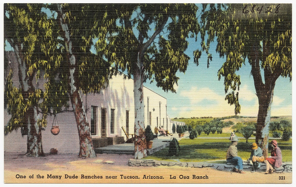 Dude Ranch Postcard