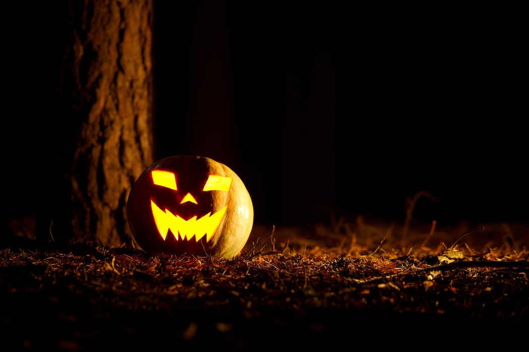 Jack O' lantern in midnight forest.