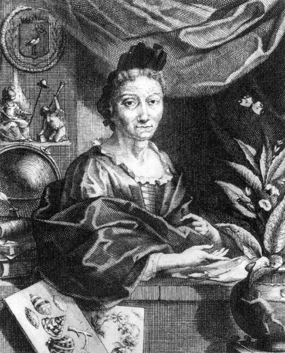 Portrait of Maria Sibylla Merian