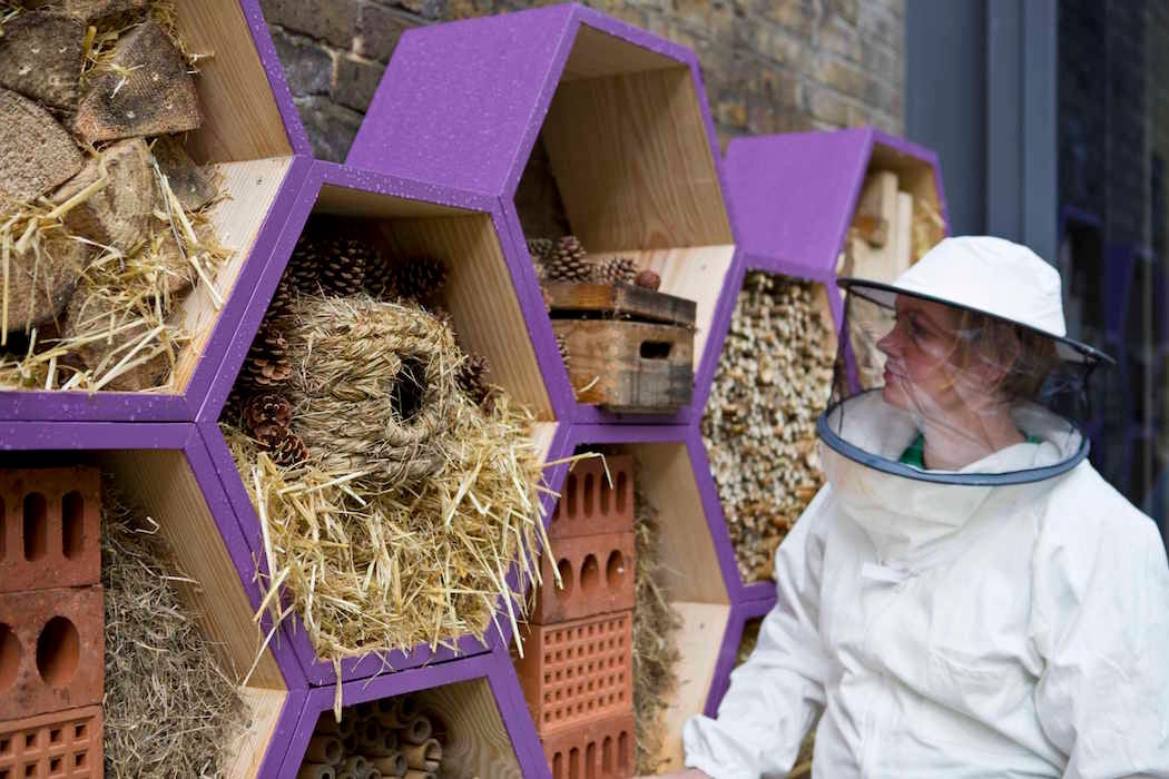 Camilla Goddard in a beekeeper's outfit looking in on several beehives