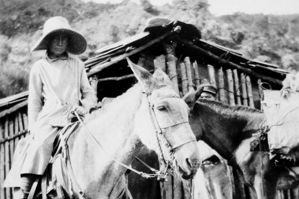 Mary Agnes Chase collecting plants in Brazil in 1929.