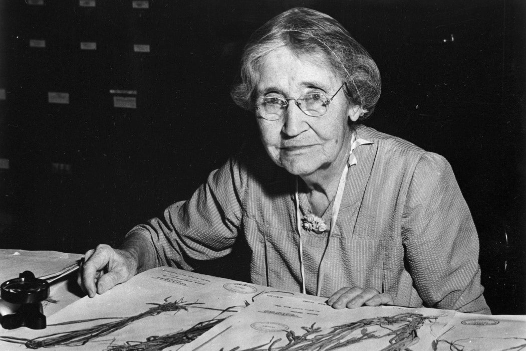 Mary Agnes Chase sitting at desk with specimens