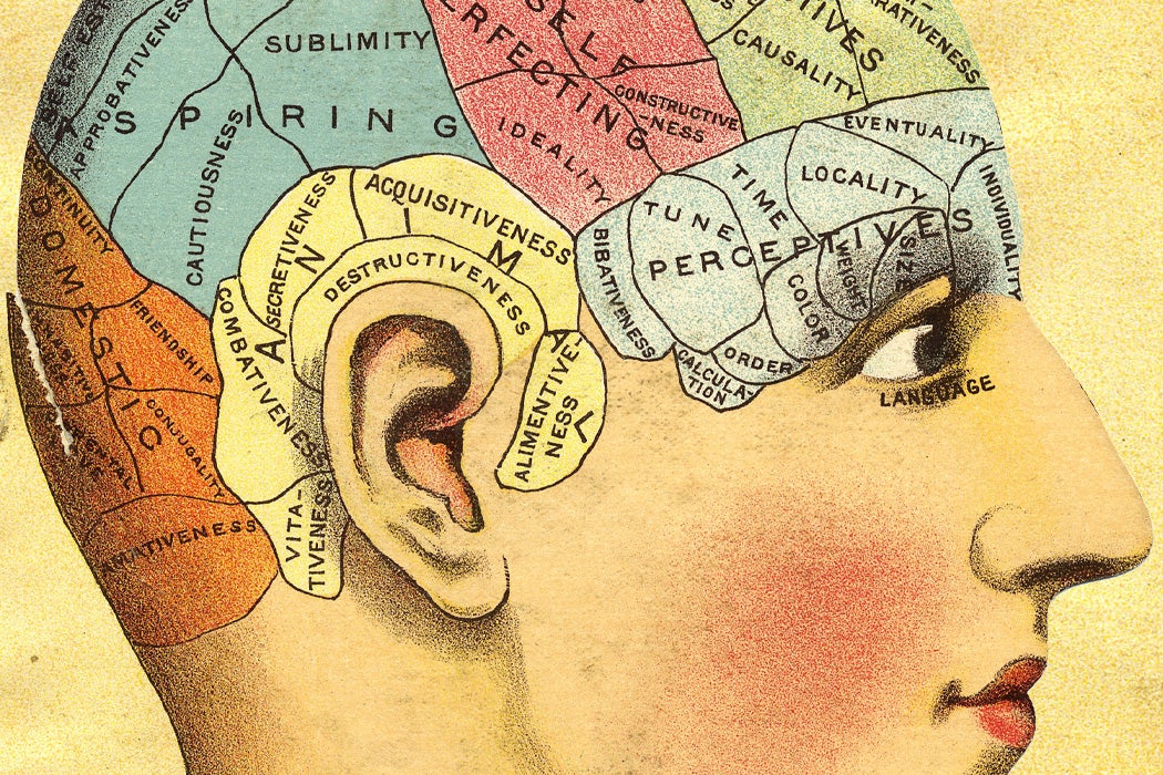 Phrenology head from The Household Physician, 1905