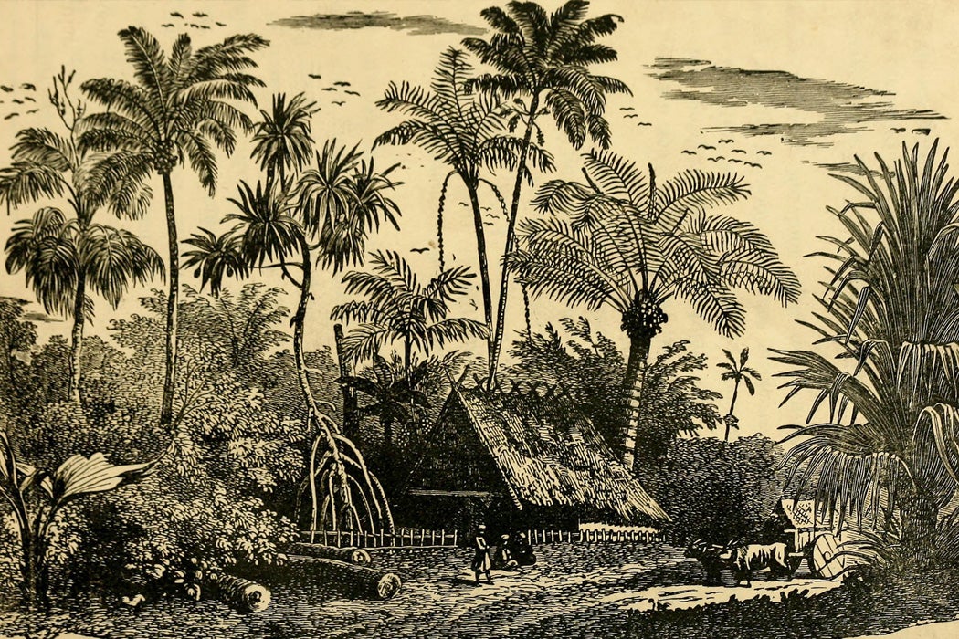 Scene in The Bahamas, 1884