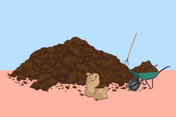 A pile of manure for fertilizing crops