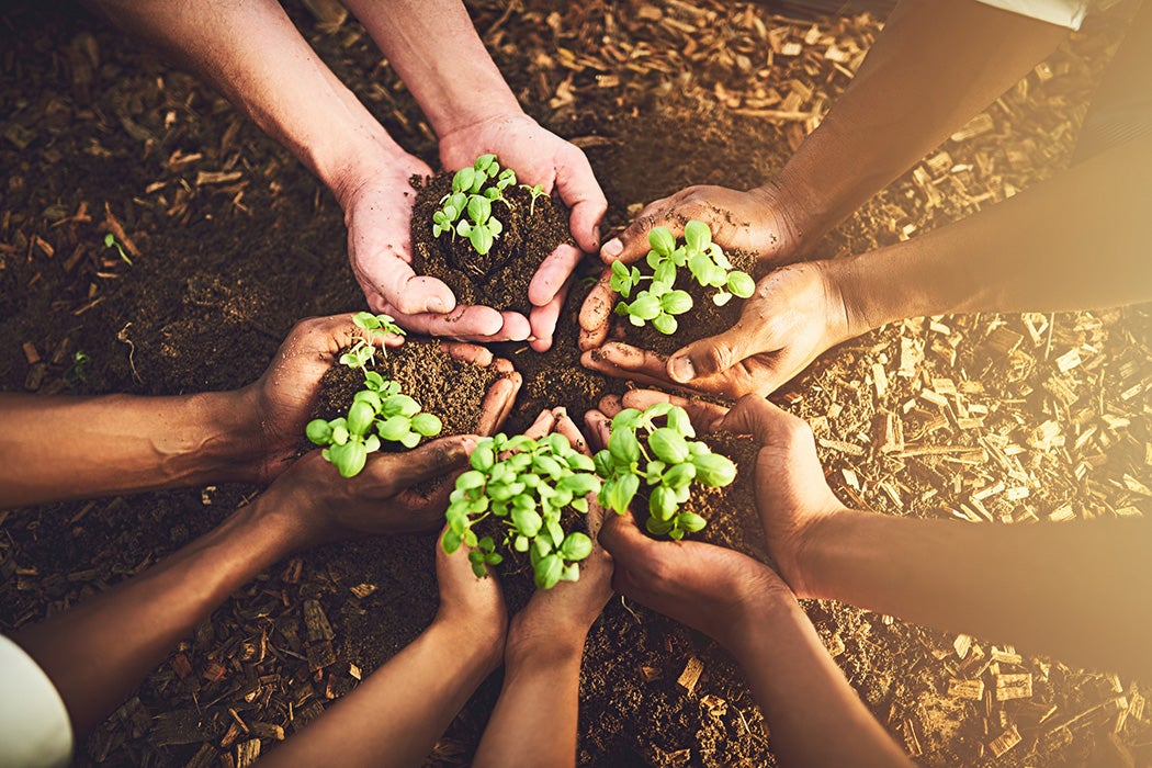 Closeup shot of a group of unrecognizable people holding plants growing out of soil