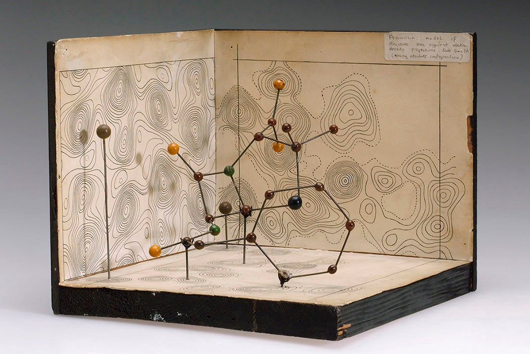 Molecular model of Penicillin by Dorothy Hodgkin, c.1945