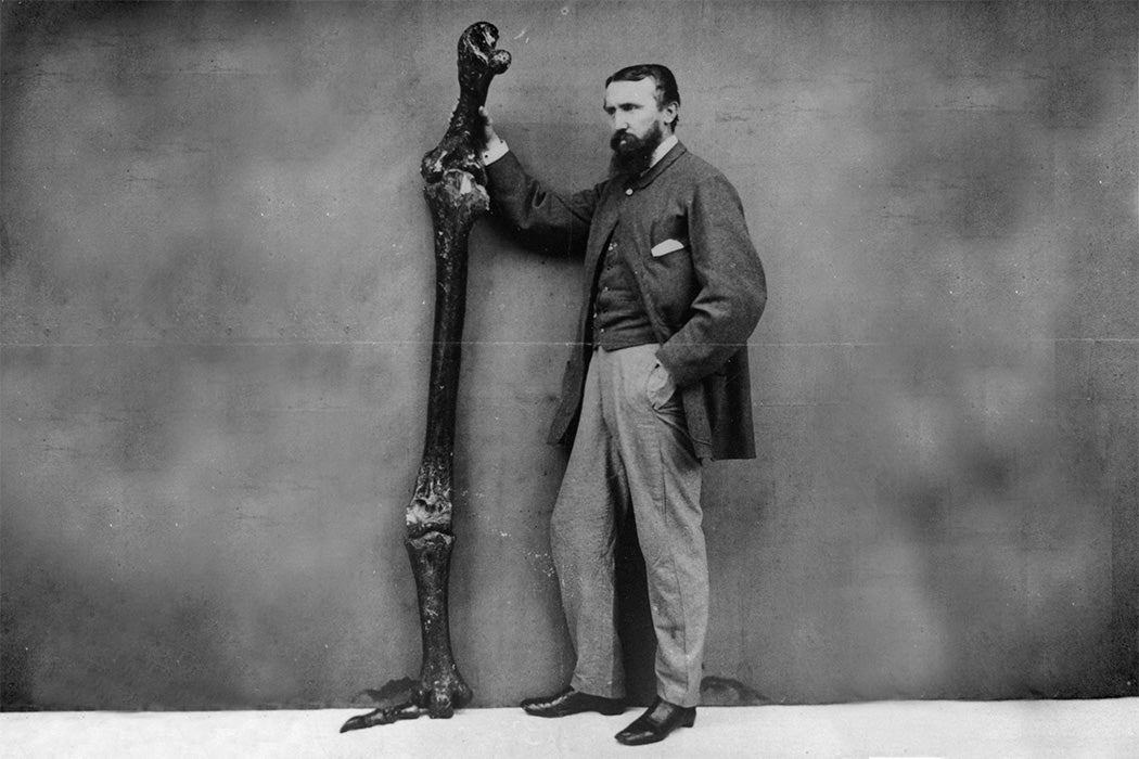 An unknown paleontologist, 1860