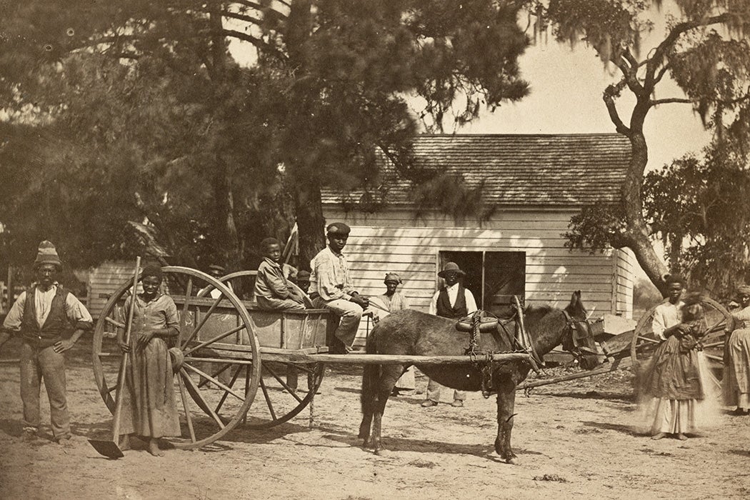 a group of African American slaves posed around a horse-drawn cart, with a building in the background, at the Cassina Point plantation of James Hopkinson on Edisto Island, South Carolina.