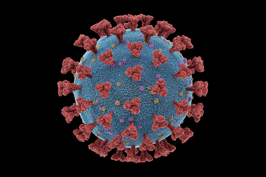 Coronavirus