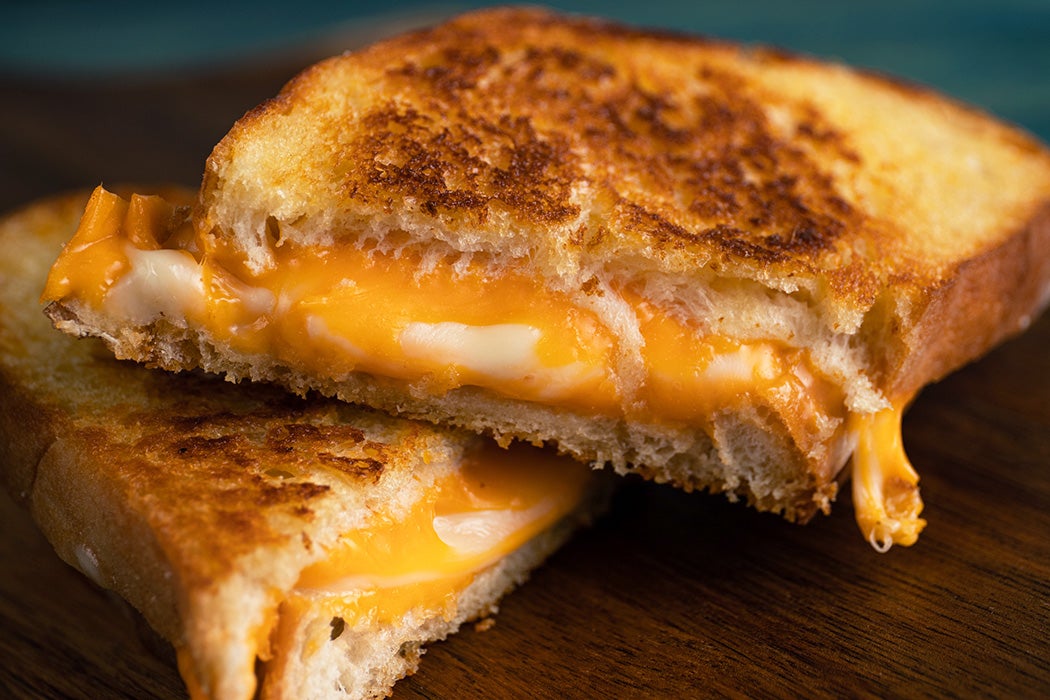 A grilled cheese sandwich