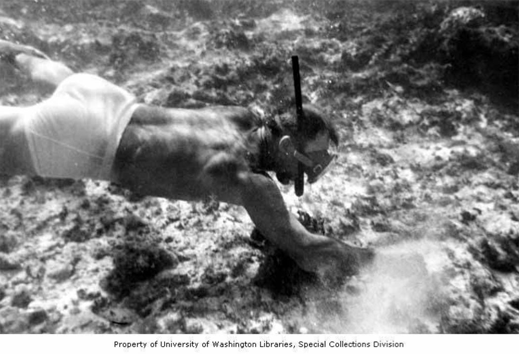 Diver collecting algae specimens