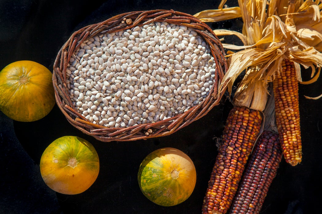 Tepary Beans, Squash and Corn