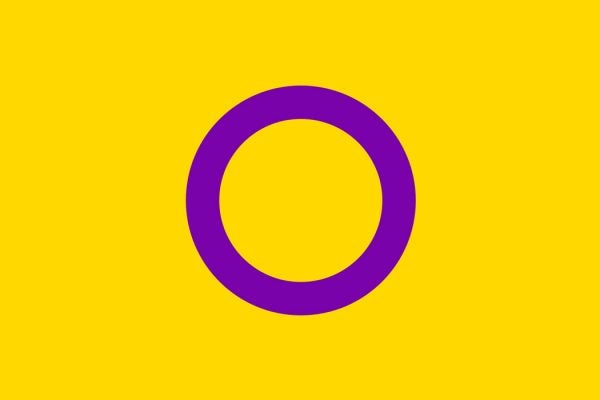 The Intersex pride flag