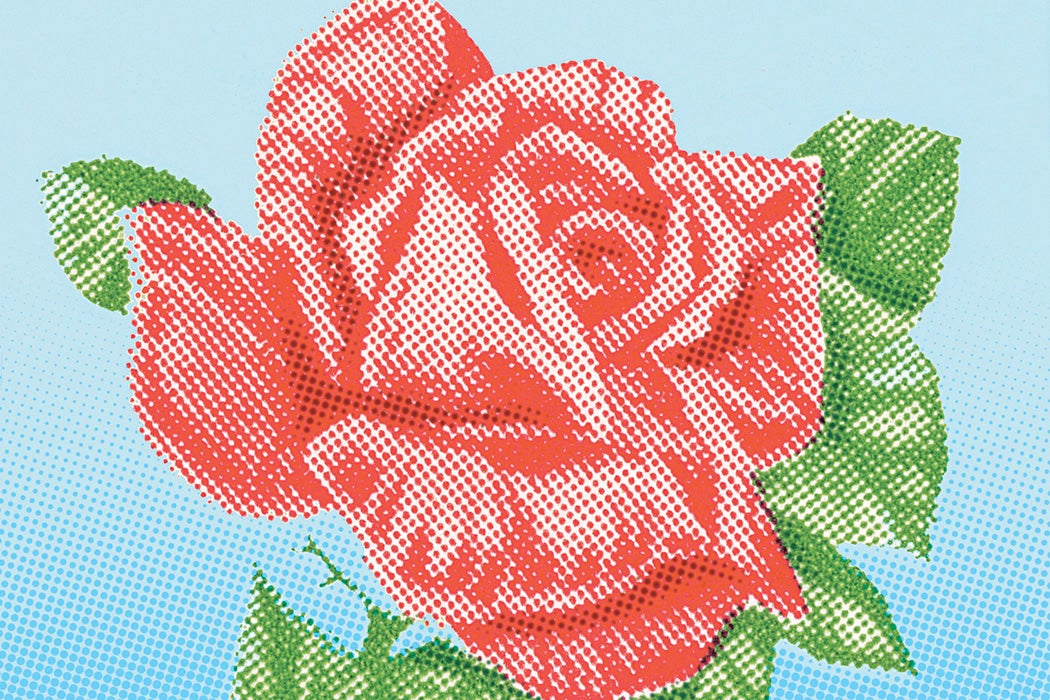 Illustration: A rose

Source: Getty