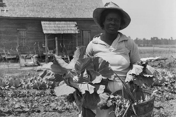 A woman picking vegetables