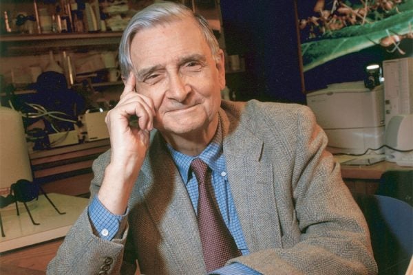 E. O. Wilson, 2003