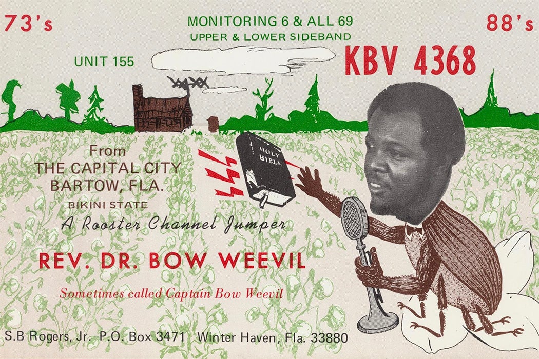 A postcard advertising Rev. Dr. Bow Weevil, a Rooster Channel Jumper