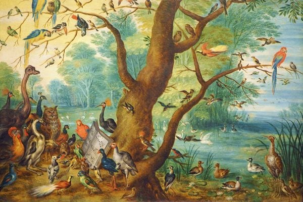 Das Vogelkonzert (The Bird Concert) by Jan Brueghel the Younger, c. 1640-1645