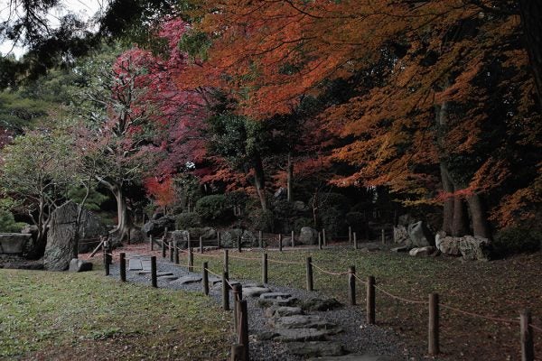 Meji Jingu Shrine on December 15, 2012 in Tokyo, Japan