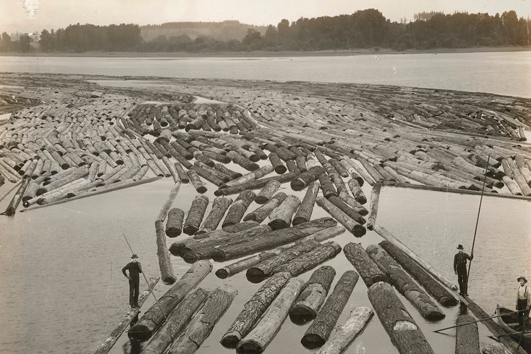 Logging in the Oregon forests, c. 1917