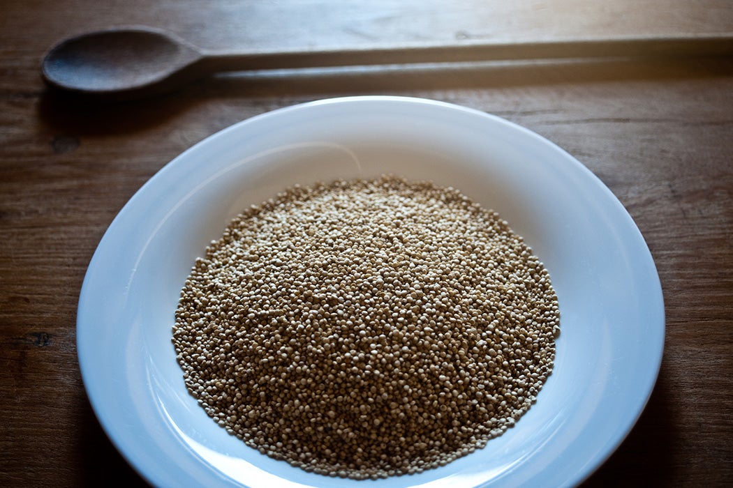 Quinoa seeds